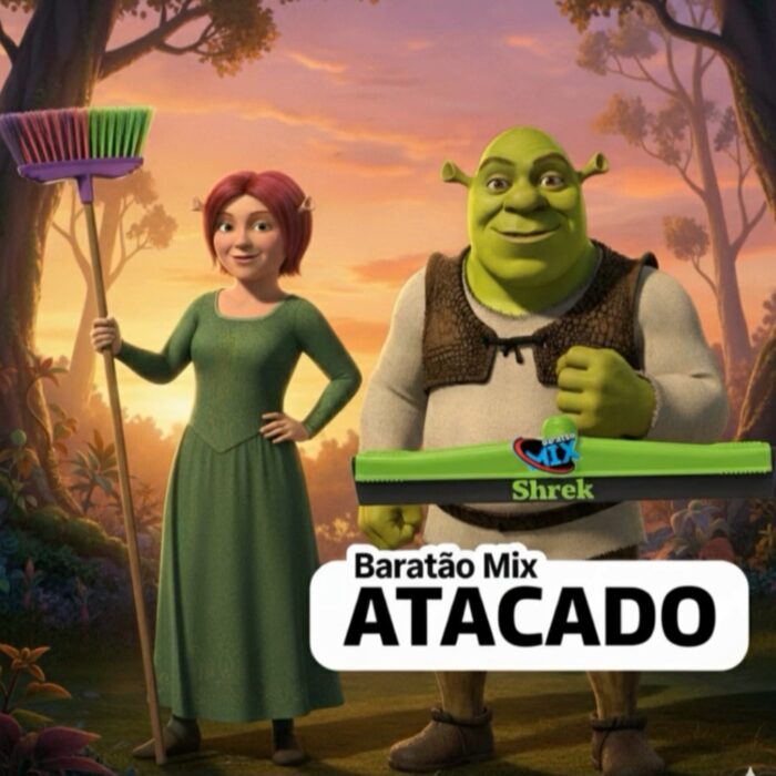 vassoura e rodo  FIONA E SHUREKE  A DUPLA DA LIMPEZA