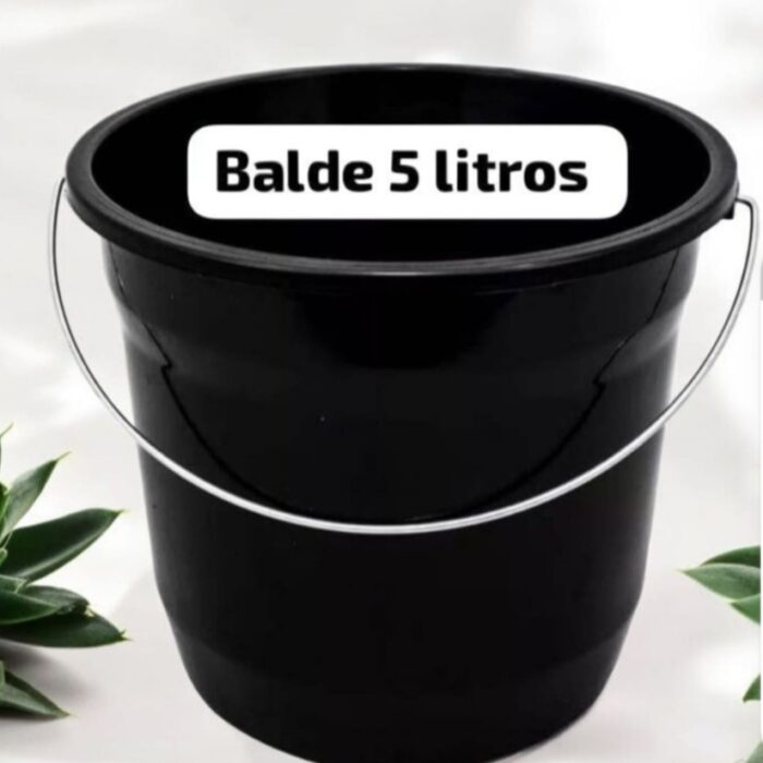 BALDE 5 LITROS